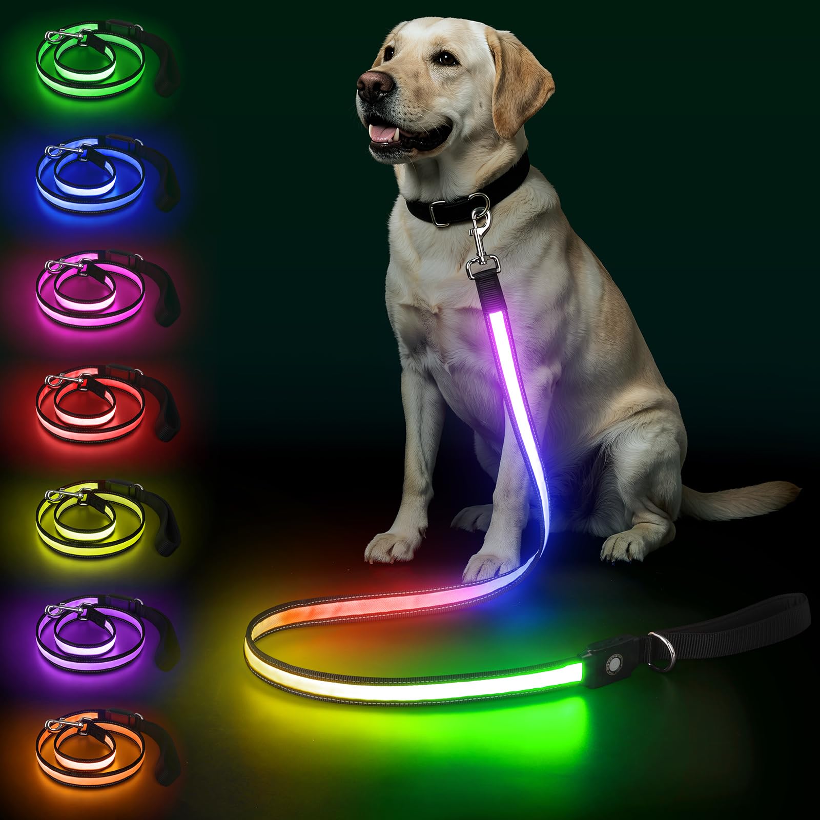 Rechargeable LED Dog Leash, Light Up Reflective Leash for Night Walking — image 1