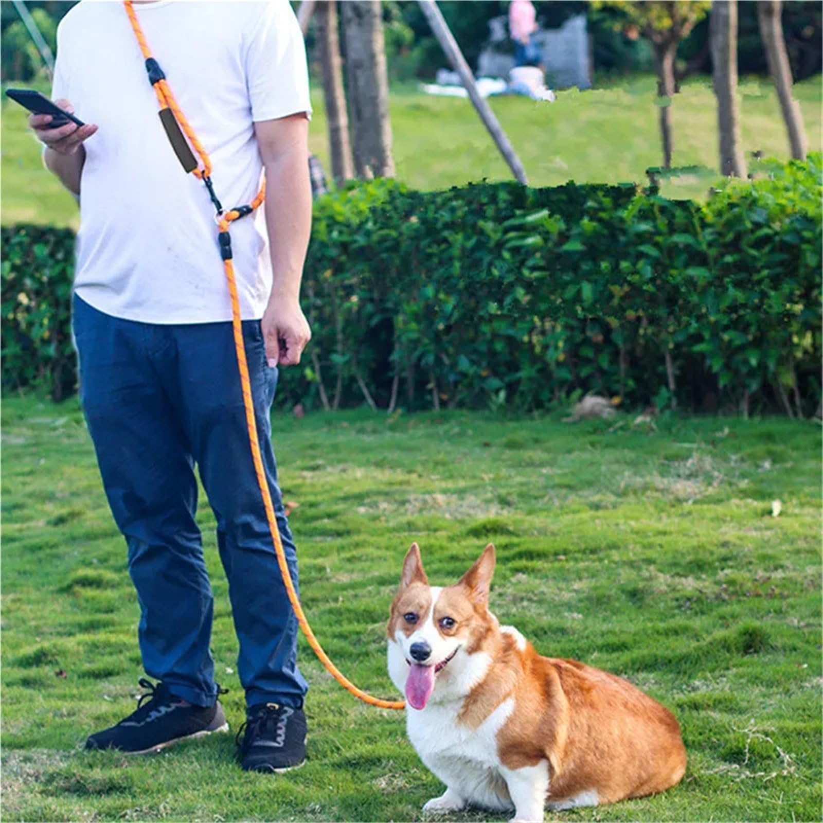 Laisses Mains Libres for Chiens, for Promenade et Course à Pied, Longueur 2,4 m, Doubles laisses réglables pour Ceinture, Running(Orange 1.0x240cm)
