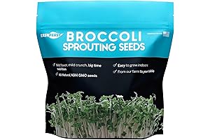 Organic Broccoli Sprouting Seeds | Non-GMO | Grown in USA