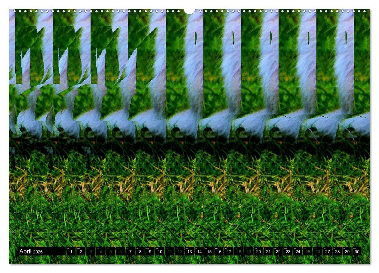 Magische Bilder - 3D Stereogramme (hochwertiger Premium Wandkalender 2026 DIN A2 quer), Kunstdruck in Hochglanz: Fantastische dreidimensionale Raumbilder (CALVENDO Spass)