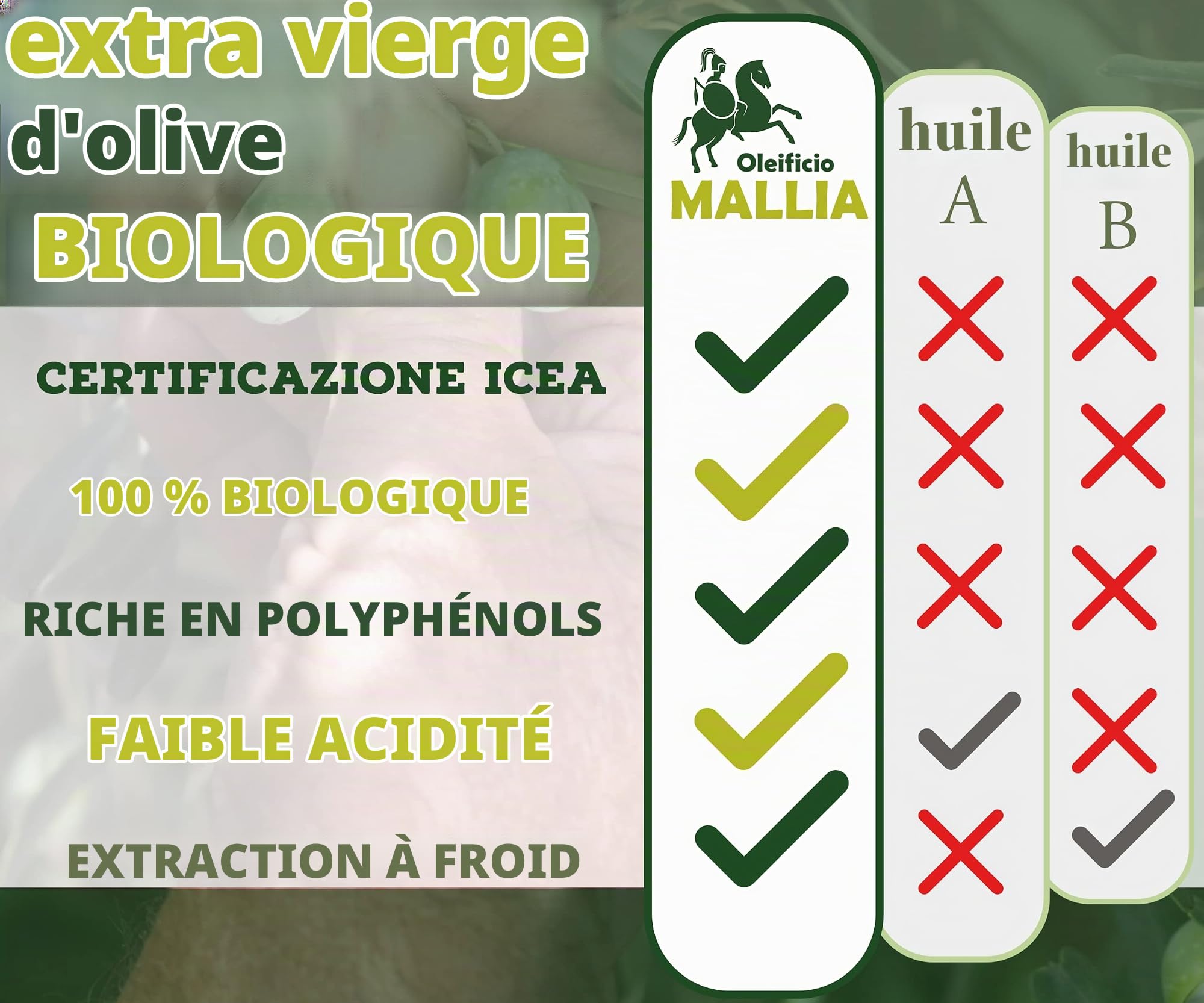 Oleificio Mallia Huile d'Olive Bio - Bidon de 5 Litres d'Huile d'Olive Vierge Biologique, Pression à Froid - Olives d'Origine Italienne - Idéale pour Cuire et Assaisonner tous Types d'Aliments - 5L