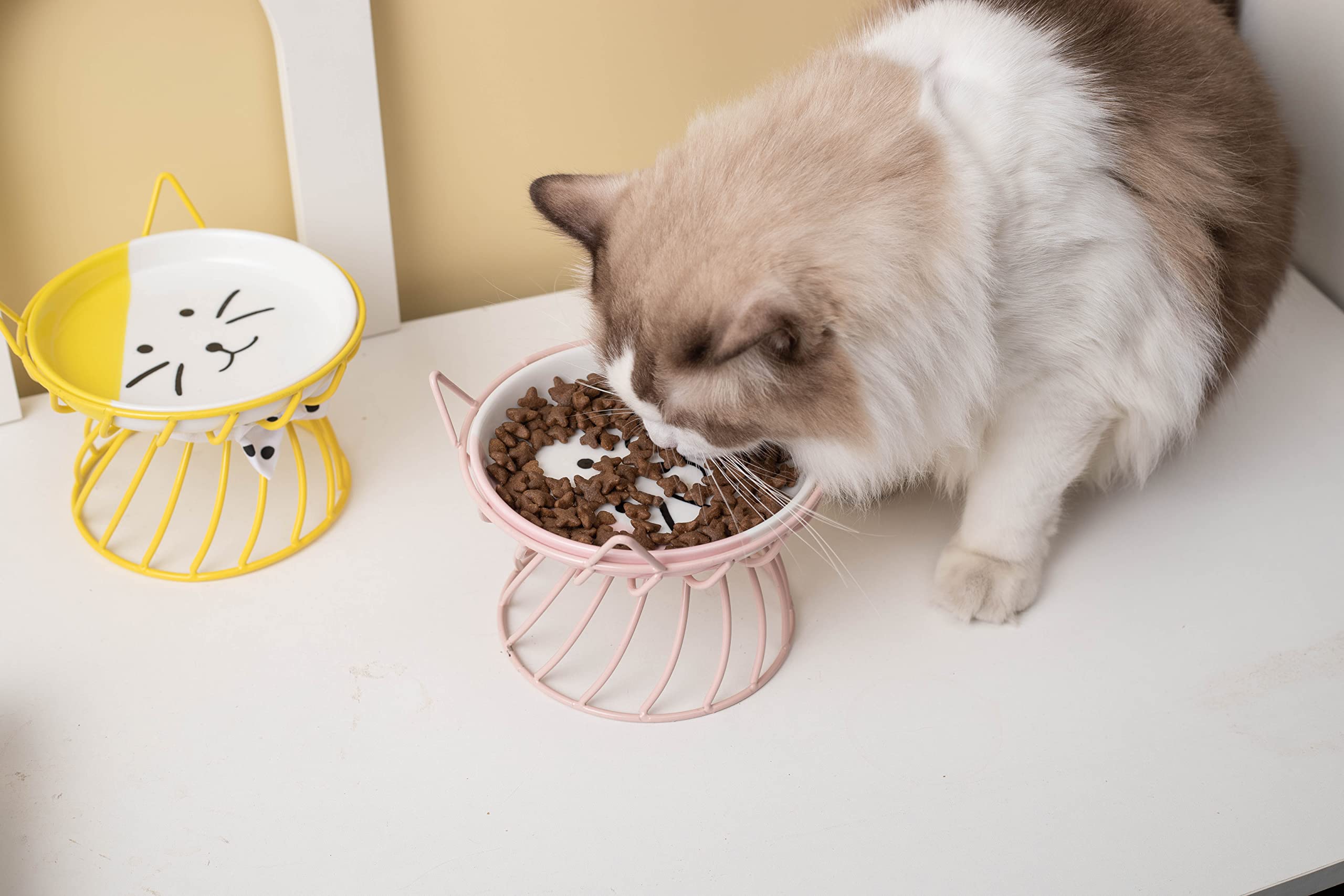 2 platos poco profundos de comida para gatos con alfombrilla antideslizante, cuenco elevado de comida para gatos con soporte de metal elevado, protege la columna vertebral del gato, cuenco