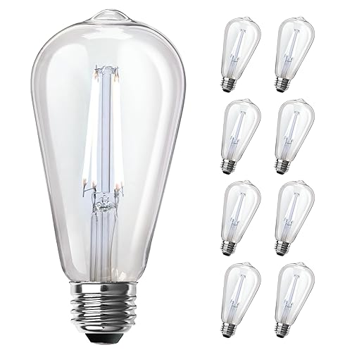 Feit Electric ST19 Vintage Edison LED Light Bulb, 60W Equivalent,
