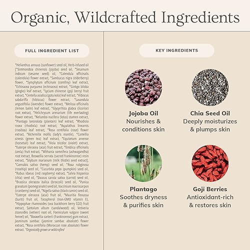 Miniatura 4 de Annmarie Skin Care - Aceite Facial Anti-Envejecimiento 1.0 fl oz