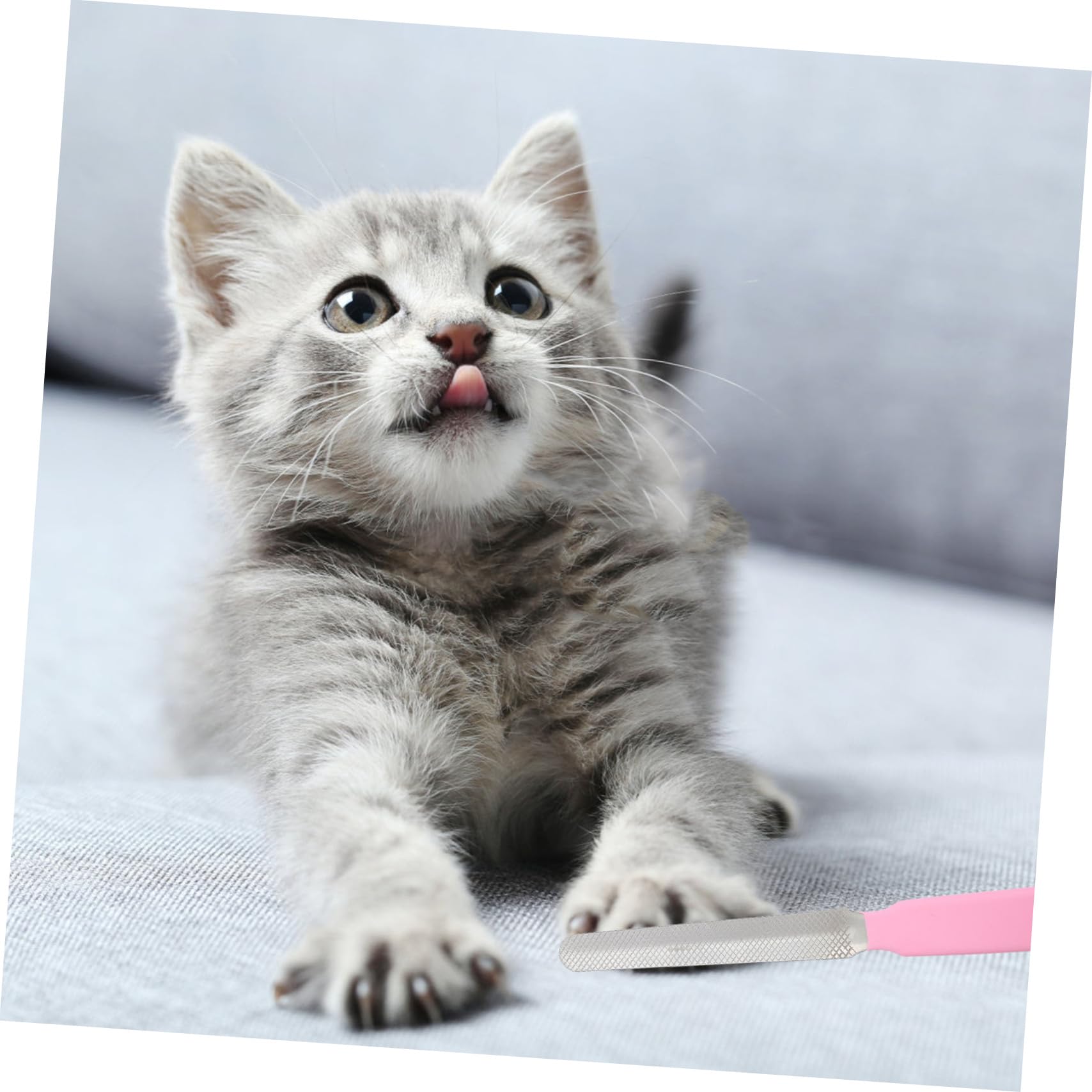 Tagliaunghie per Animali Domestici di Toelettatura Pratico Pettine Amaca per Gatti e Cani Inossidabile