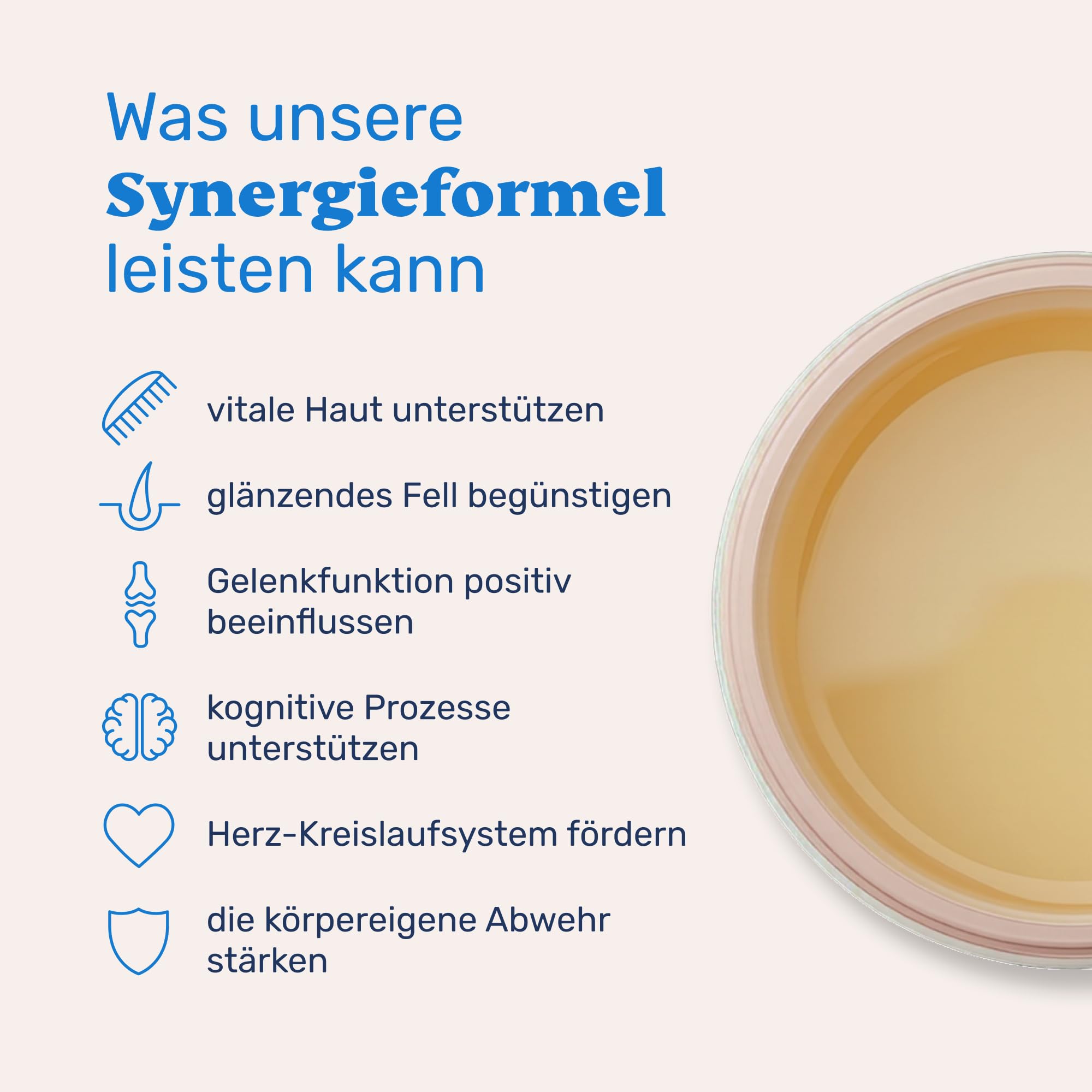 mammaly Lachsöl (95,9%) & Krillöl (4%) für Hunde 1000ml - Premium Wildlachsöl - Omega 3 & Astaxanthin - Kaltgepresst - Glänzendes Fell & gesunde Haut - Futteröl Barf geeignet