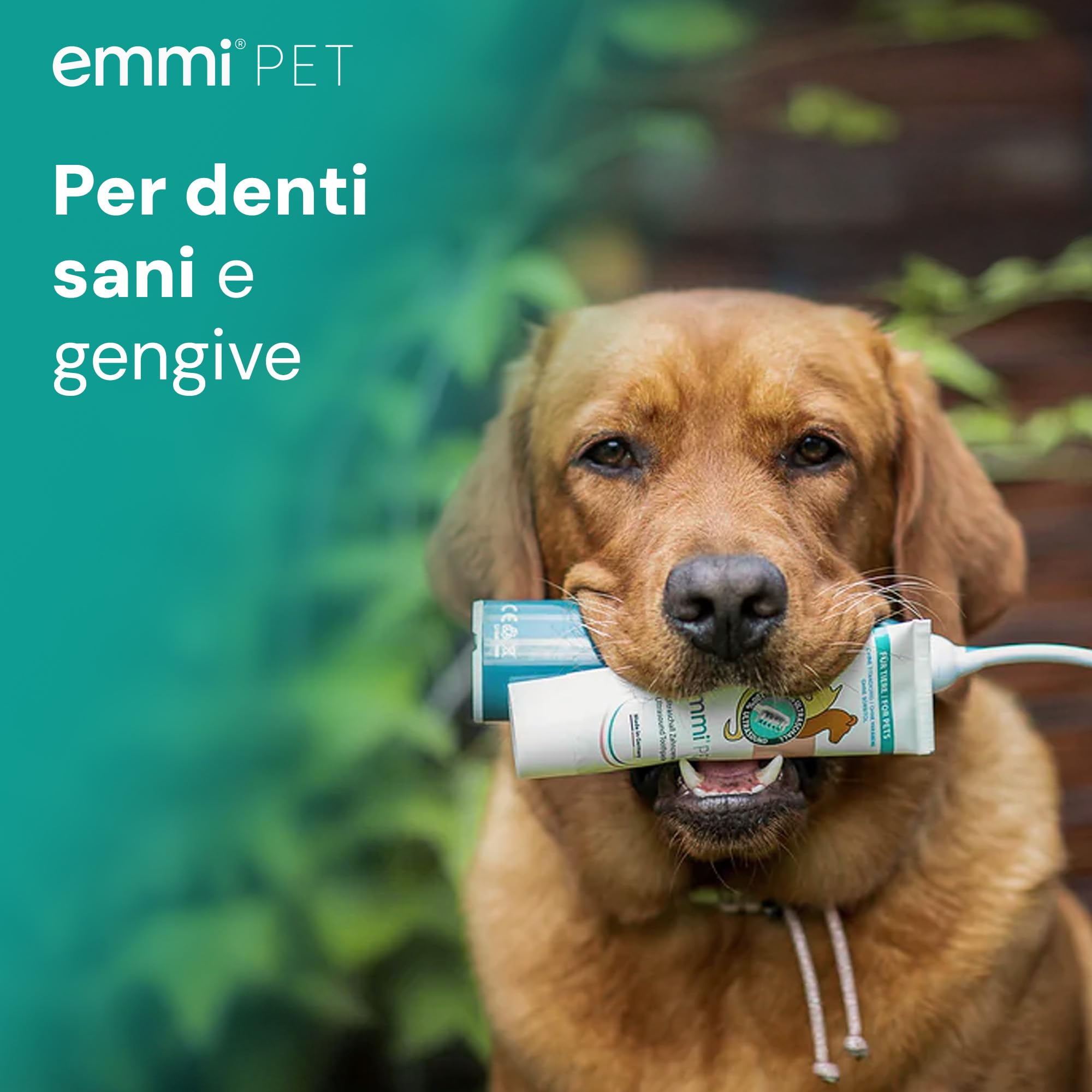 emmi-pet PRO Spazzolino da denti ad ultrasuoni per cani – Spazzolino da denti per cani e gatti senza strofinare con 96 milioni di vibrazioni, durata della batteria 12 giorni – contro l'infiammazione