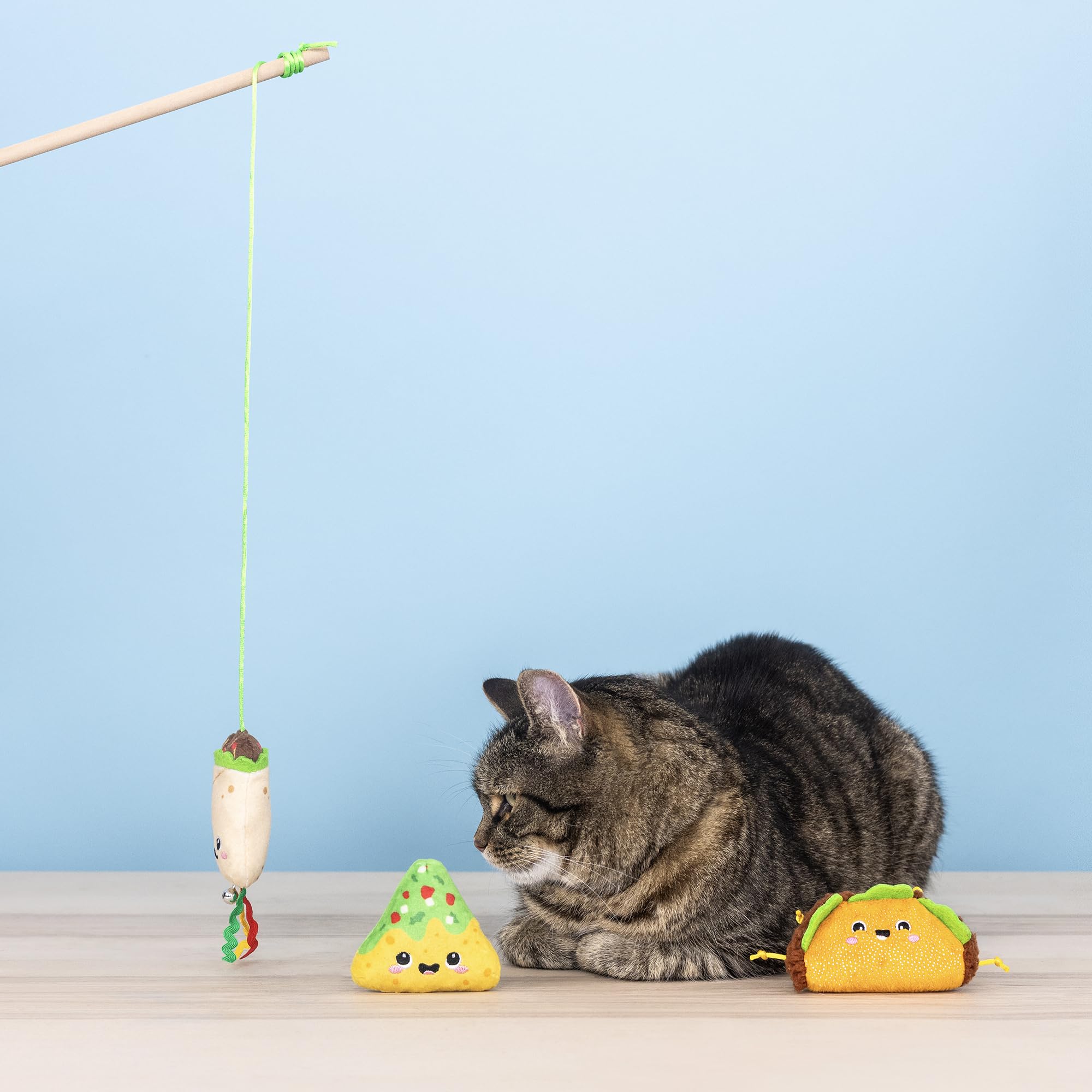 Set Feeling Like a A Guck-Star | Gato