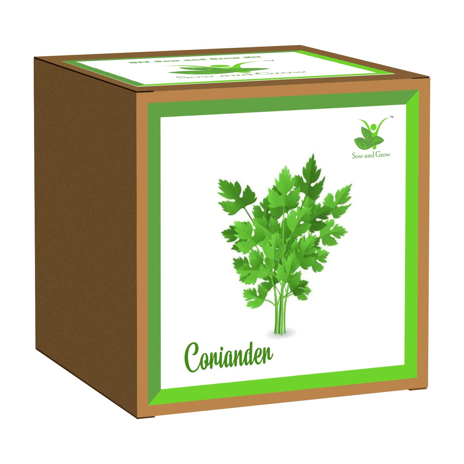 Sow and Grow Easy DIY Gardening Kit of Coriander Herb Dhaniya (Grow it Yourself) for Home and Kitchen Garden, Best Kids Birthday Return Gift (B0824RXSDR) Amazon Price History, Amazon Price Tracker