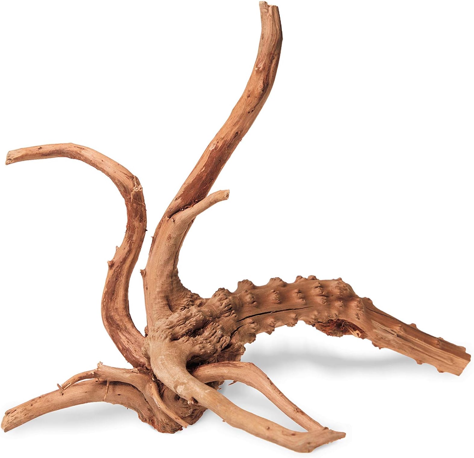 Aquarium Driftwood Red Moor Wood for Fish Tank Natural Decoration - Premium Piecs (Red Moor 15-20cm)