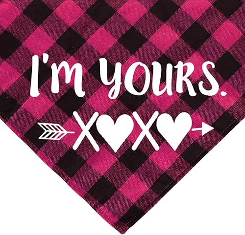 Miniatura 4 de JOTFA Paquete de 2 bandanas para perro para el día de San Valentín a cuadros para perros pequeños medianos y grandes mascotas rojo y rojo