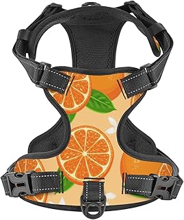 No Pull Dog Harness for Large Dogs Easy Walk Dog Vest Adjustable Collars Harnesses & Leashes Set Breathable Oxford Outdoor Walking Safety Reflective Strip Oranges Green Leaves and Flower Prints