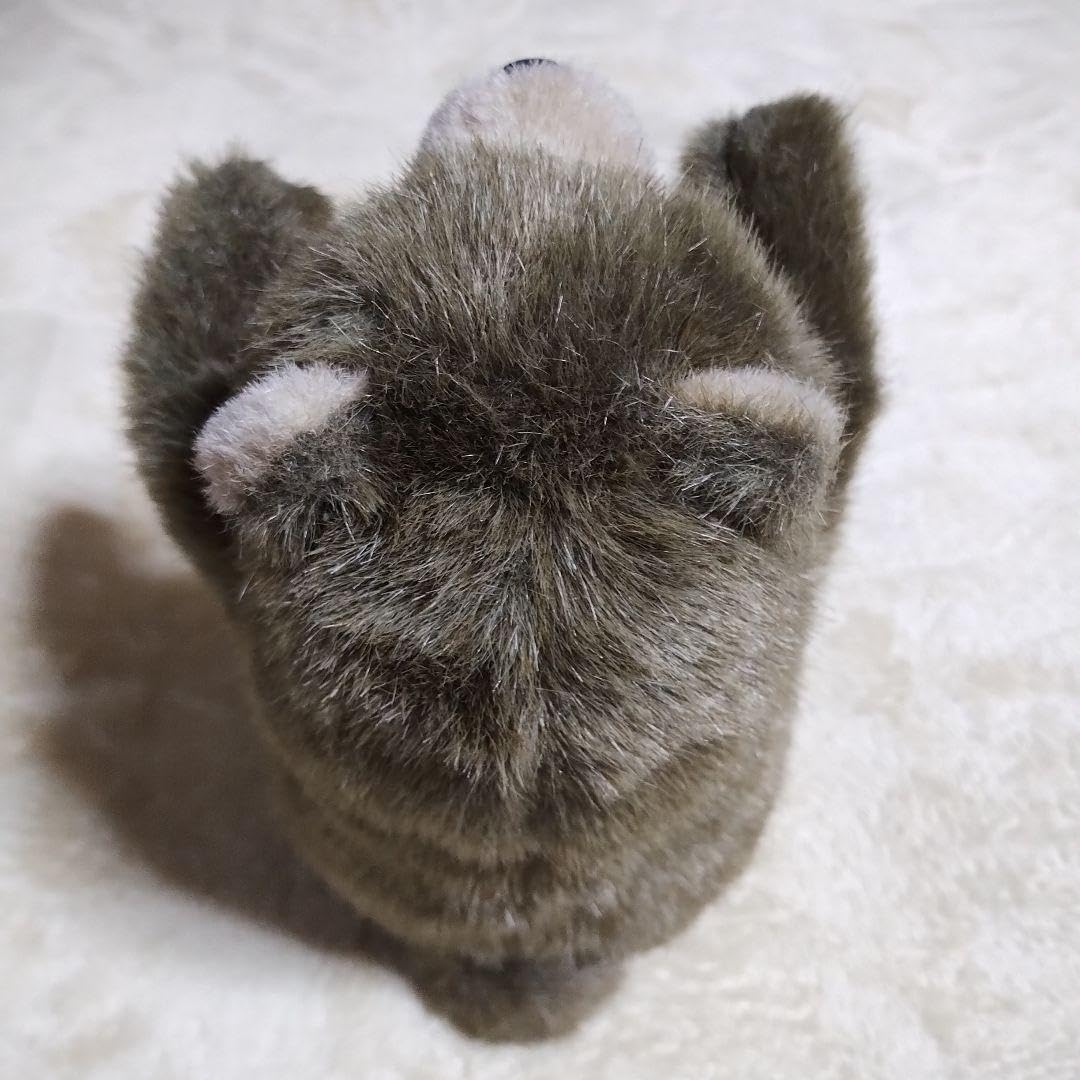 Amazon.co.jp: オオイケくまぬいぐるみ テディベア クマ OIKE レトロ 