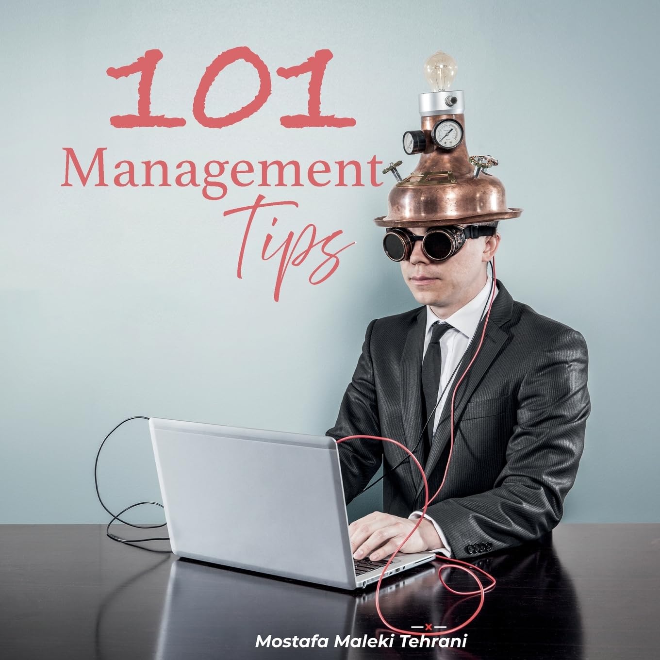 101 Management Tips (101 Enlightening Revelations)