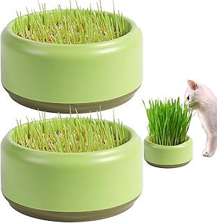 Cat Grass Planter 2Pcs Practical Round Cat Grass Cups 13.5cm Convenient Cat Grass Growing Kit Household Cat Grass Nursery Seed Sprouter Tray(Without Seed)