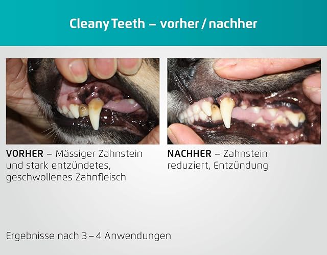 Foto 3 de 3 de Techmira Cleany Dientes para Perro