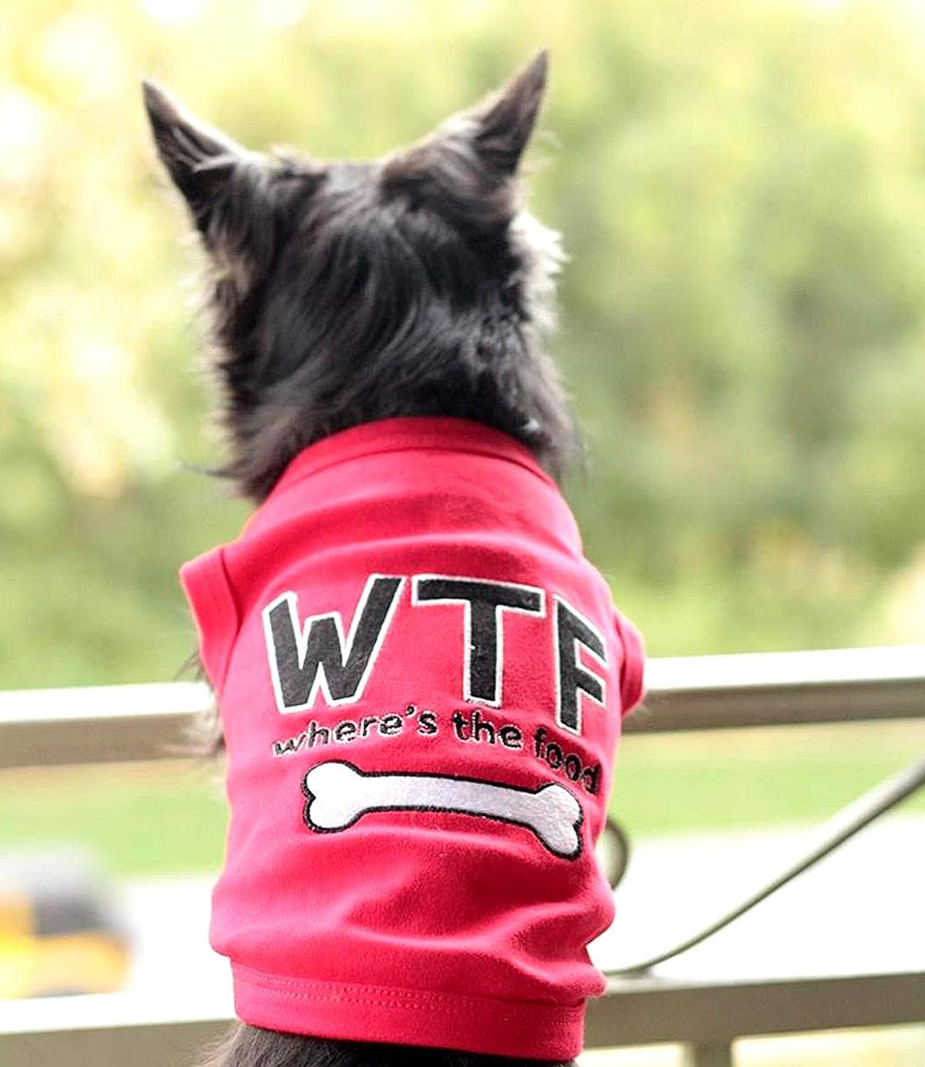 Parisian Pet Funny Cute Dog Cat Pet Shirts Caution Can't Control My Licker, I Work Out, Little Monster, WTF, BFF, Bling $, Got Treats, Babe Magnet, Little Miss Attitude (Where's The Food, XL) : Pet Supplies