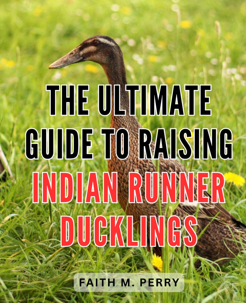 The Ultimate Guide to Raising Indian Runner Ducklings: A comprehensive handbook for successfully nurturing and training Indian Runner ducklings, your ultimate go-to resource.