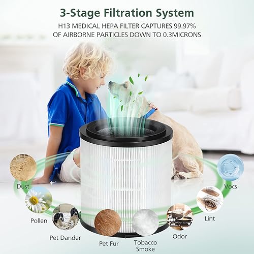 Miniatura 2 de KJ150F-C02 - Filtro de repuesto HEPA para purificador de aire SilverOnyx de 5 velocidades (habitación grande de 500 pies cuadrados) para mascotas,