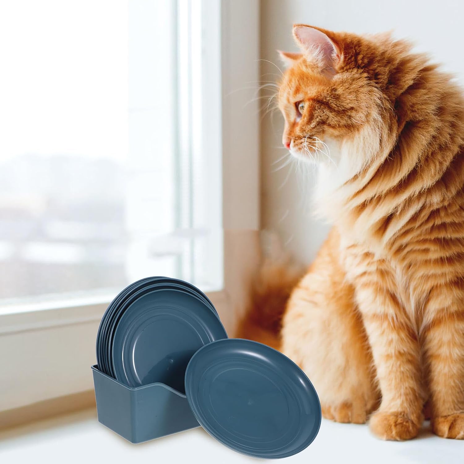 Mobestech 8pcs Shallow Cat Feeder Bowls Set with Stable Support Light Blue Plastic Small Flat Pet Food Dishes for Kittens and Short-Legged Cats Indoor Feeding