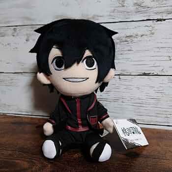 71IrI3OK-TL._AC_UF350,