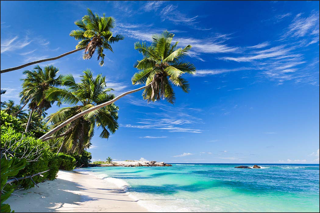 Muralo Fototapete Vlies Strand, Ozean, Himmel, Palmen, XXL - 210x315 cm | Fantasievolle Tapete, hochauflösender Druck - ideal für Wohnzimmer und Schlafzimmer, Urlaubsfeeling für jeden Tag