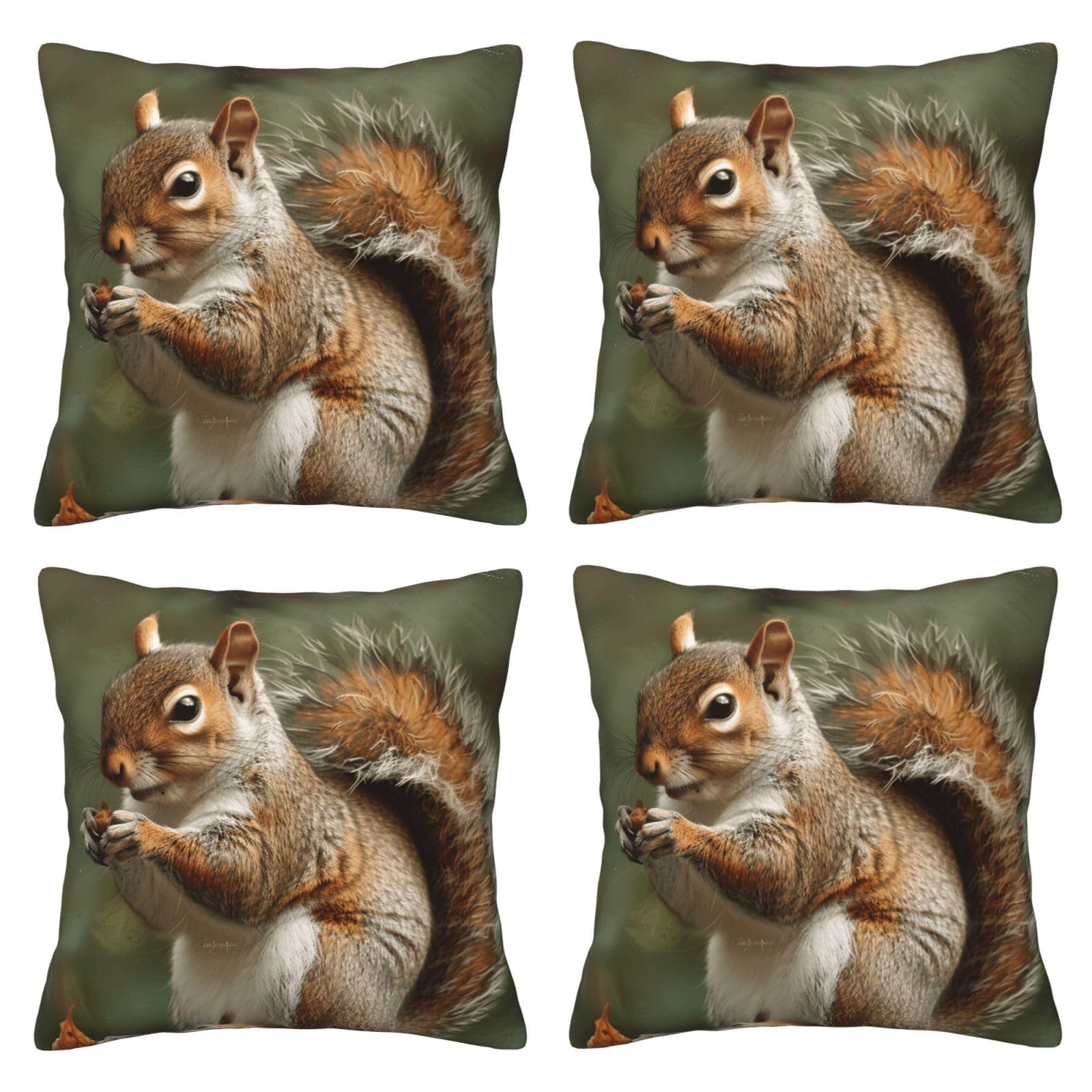 Squirrel Throw Pillow Cases 4 Pack Square Pillowcases Super Soft Pillow Protectors With Zipper for Couch Livingroom Sofa Bed Office Car,30x30 CM