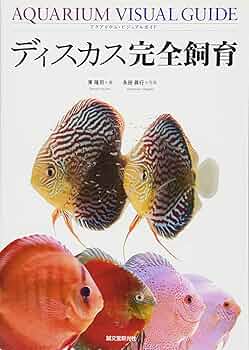 71IrOrkYOEL._AC_UF350,