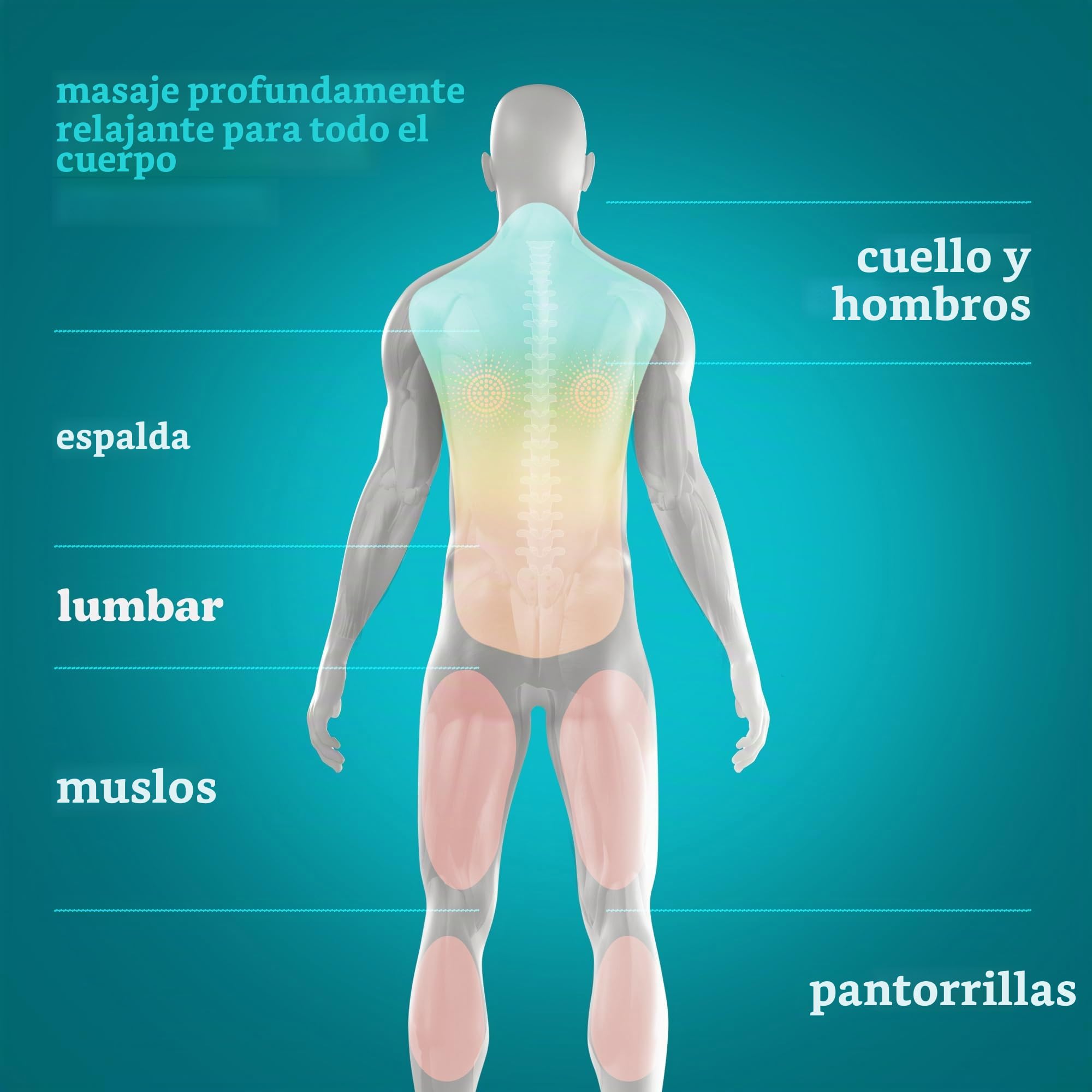 Homedics Cojín de Masaje Portátil Shiatsu con Calor | Masajeador Muscular Profundo, Espalda Baja, Cuello y Hombros, 4 Nodos Rotativos, 2 Direcciones