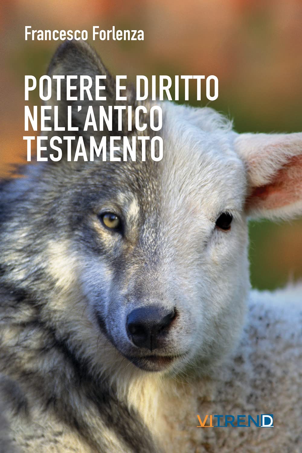 Potere E Diritto Nell'antico Testamento. Un Itinerario Tra La Storia E Gli Istituti Del Popolo Ebraico - 4