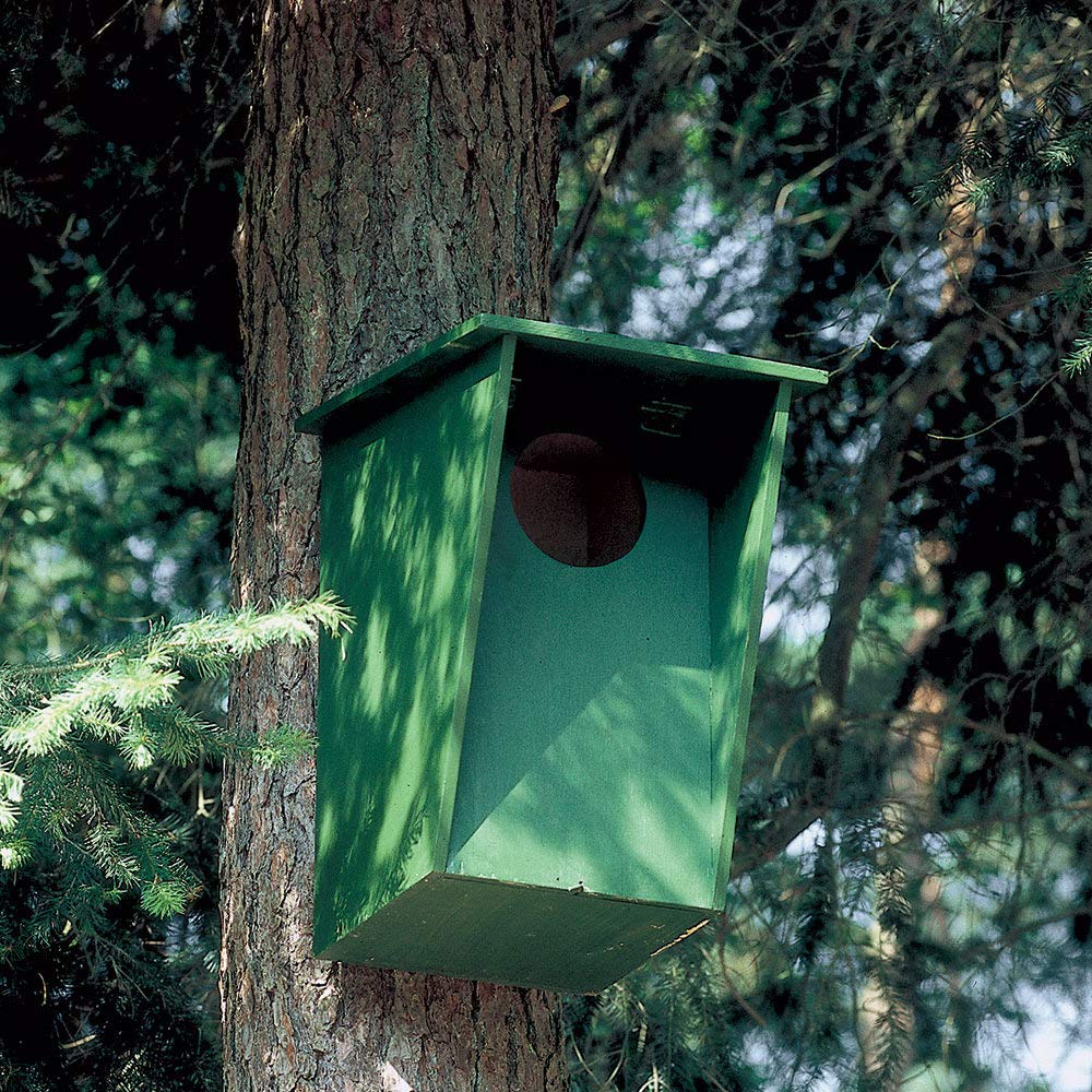 CJ Wildlife Bird Box for Gardens – Tawny Owl Nest Box with Built-In Ladder – Wood Green FSC® 100% – Cavity Nesting Birdhouse for Tawny Owls, Jackdaws, Stock Doves