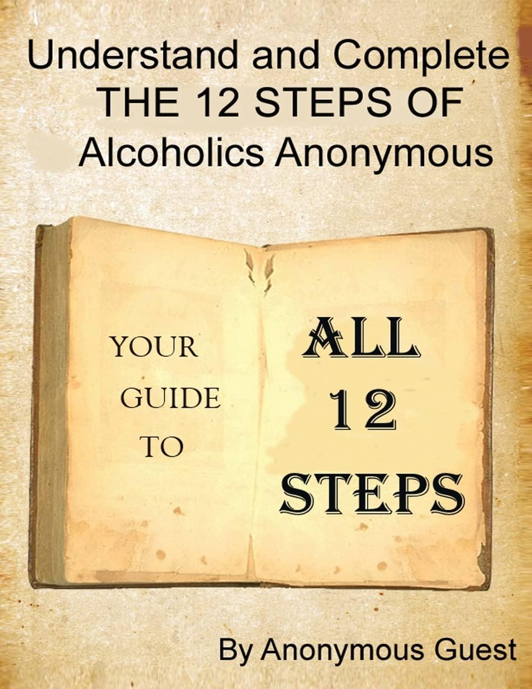 A 12 Step Guide - For the Big Book of AA: Understand and Complete The 12 Steps of Alcoholics Anonymous Paperback – Large Print, 25 May 2013