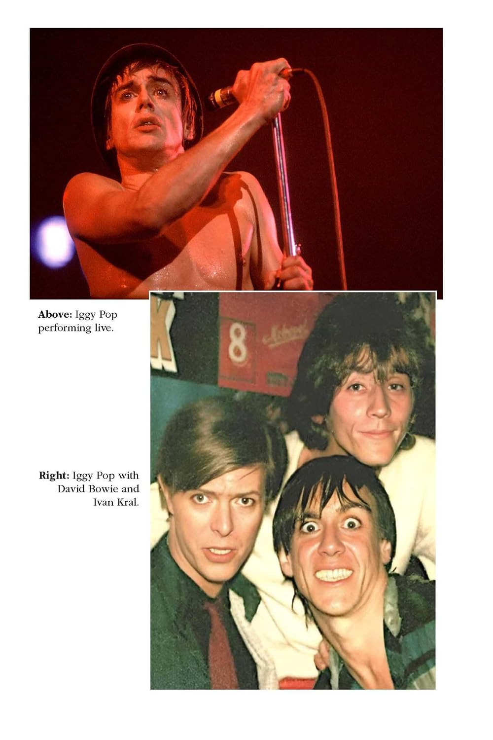 Iggy Pop 1977-1999: Every Album, Every Song (On Track)
