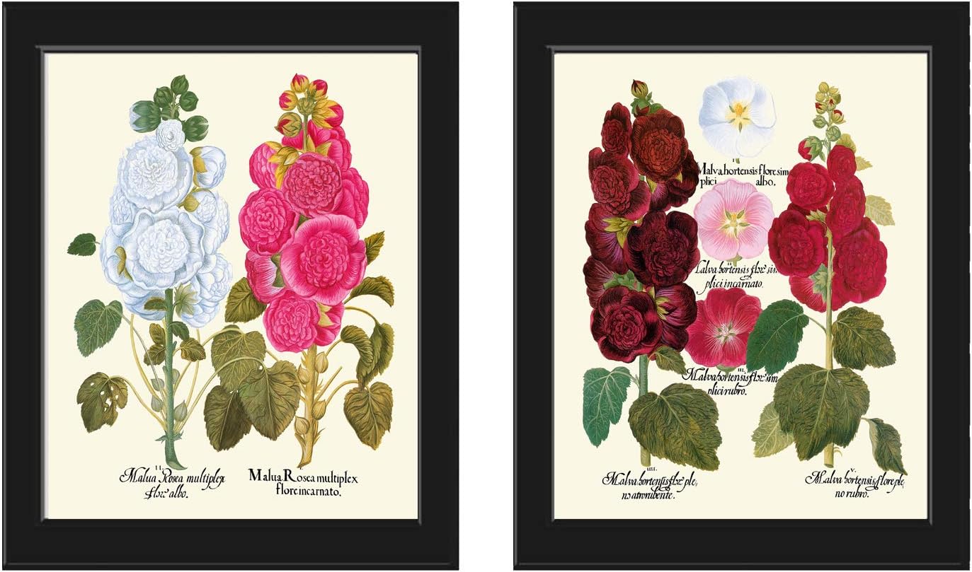 Amazon.com: LoveThePrint Hollyhock Flowers Wall Art Print Set of 2 ...