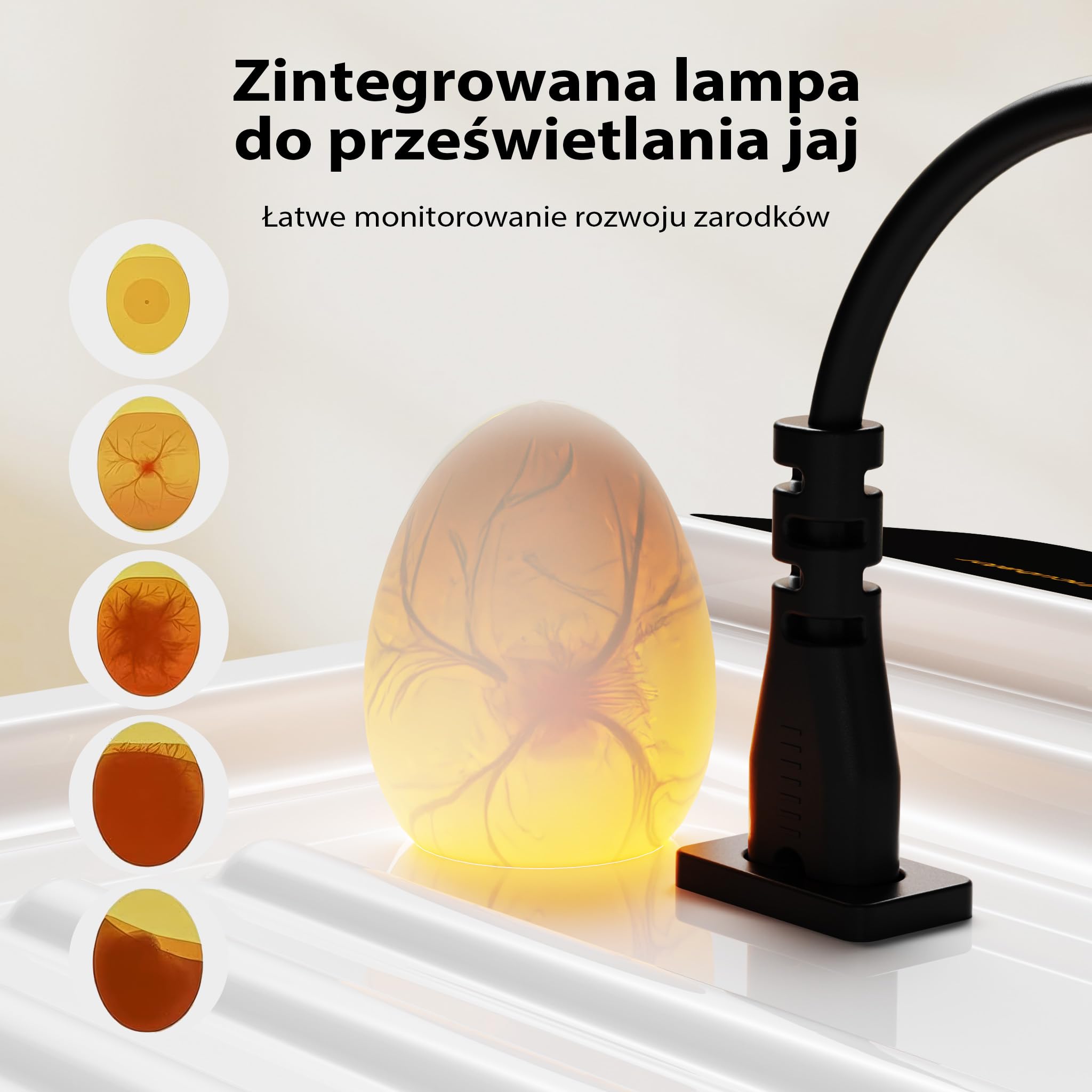 W pełni automatyczny inkubator powierzchniowy Fudajo na 24 jaja, inkubator 80 W z systemem obracania, inkubator z kontrolą temperatury i regulacją wilgotności, inkubator do jaj wylęgowych