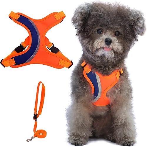 _ Juego de arnés y correa para perro, arnés ajustable para cachorro, chaleco suave y reflectante para perros pequeños y medianos que caminan (S,