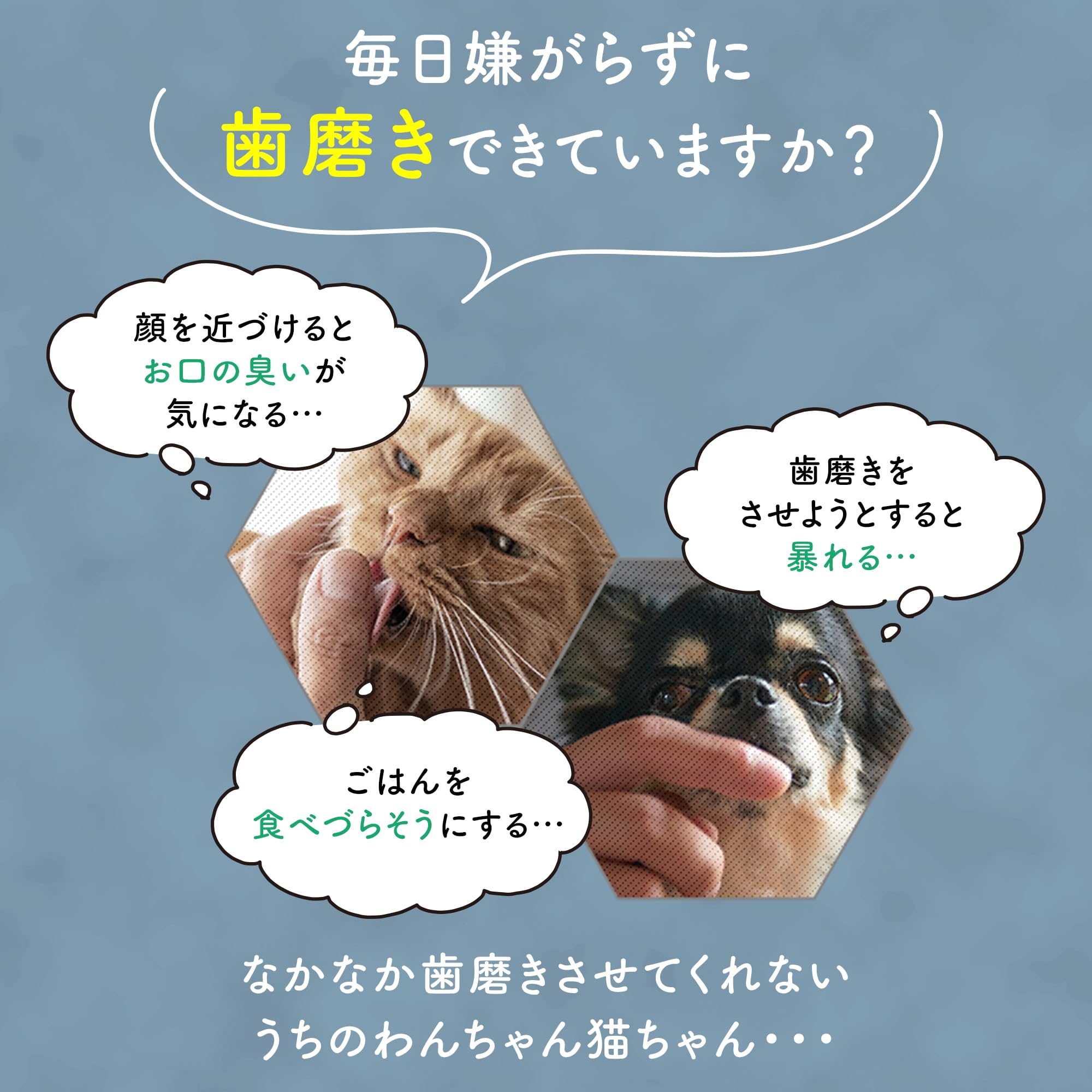 Amazon | [犬猫生活] デンタルケアお試しセット 犬猫兼用 プレーン味(5
