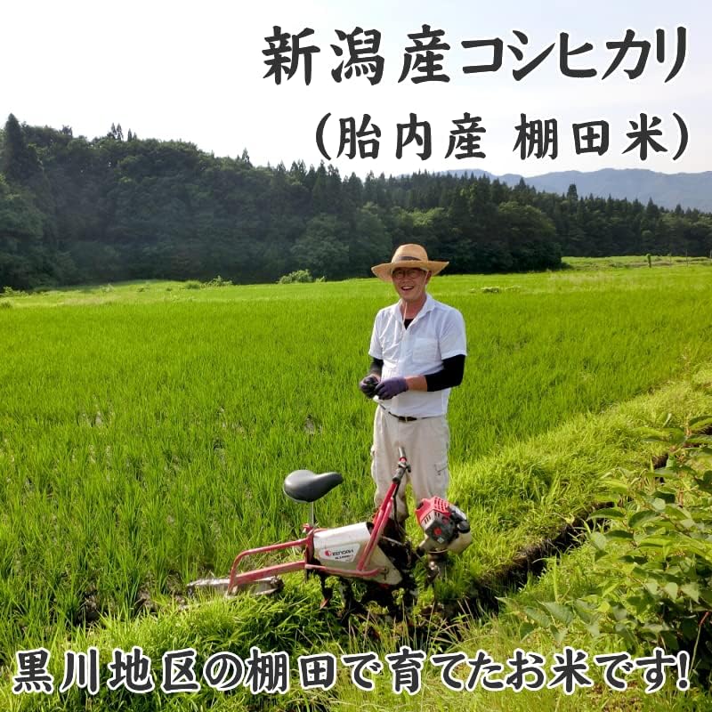 [息子さんの仕送りに] 高橋さんの 新潟産コシヒカリ 玄米 5kg