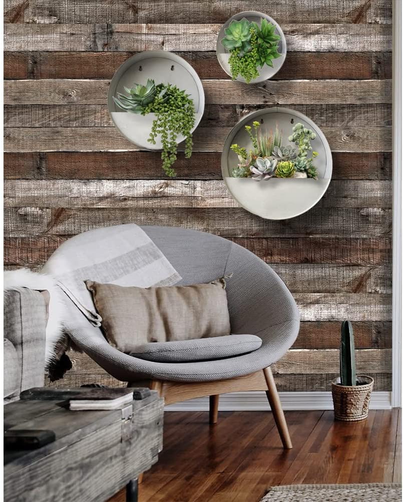 Vandue Modern Home Round Living Wall Mounted Galvanized Steel/Zinc Succulent/Herb Planter - Indoor/Outdoor Living Art Potting Vessel (Aged Zinc, Large)
