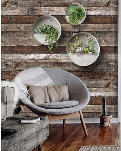 Miniatura 5 de Modern Home - Maceta redonda para suculentas de acero galvanizado  zinc para montaje en la pared, para interiores y exteriores, recipiente para