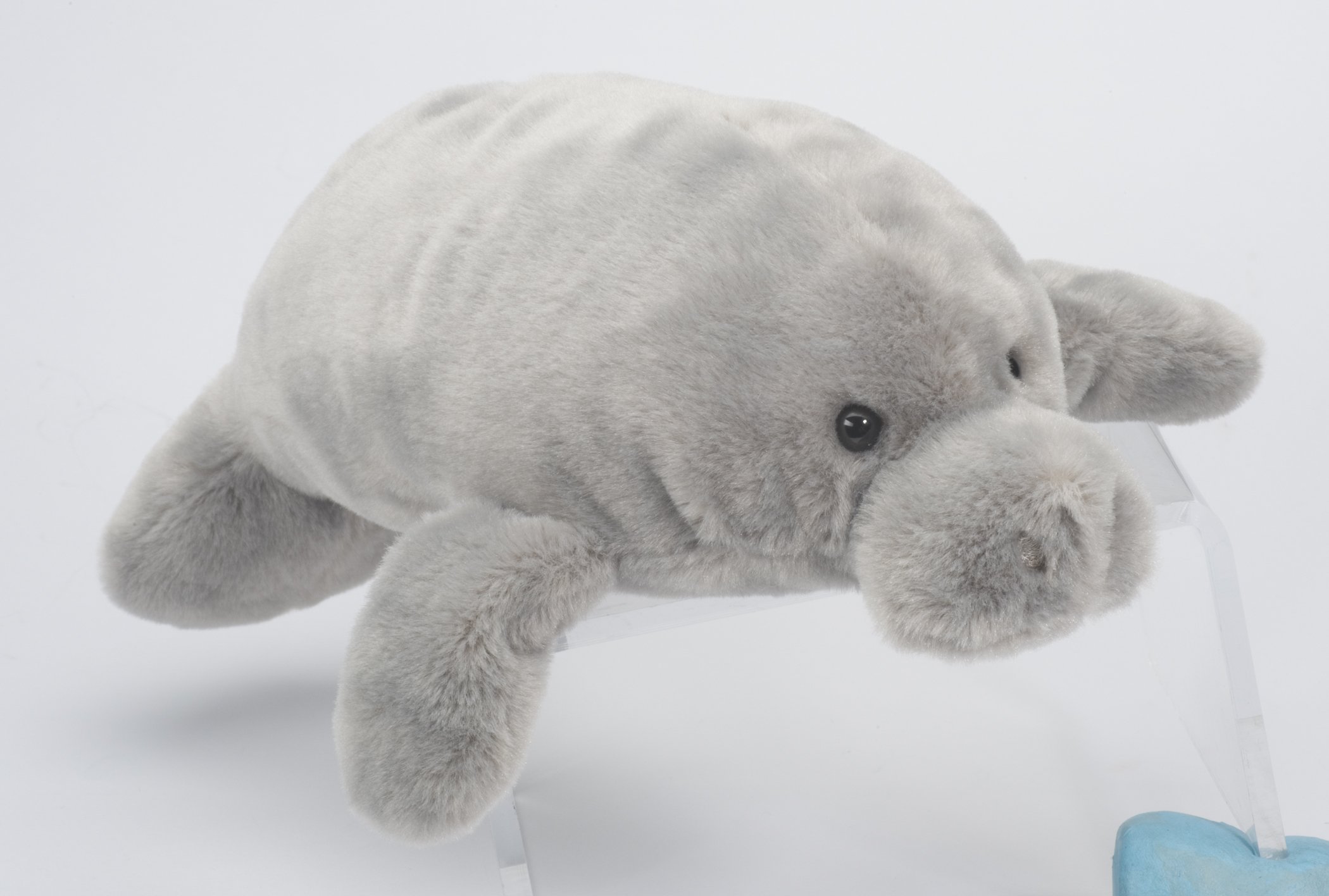 manatee teddy