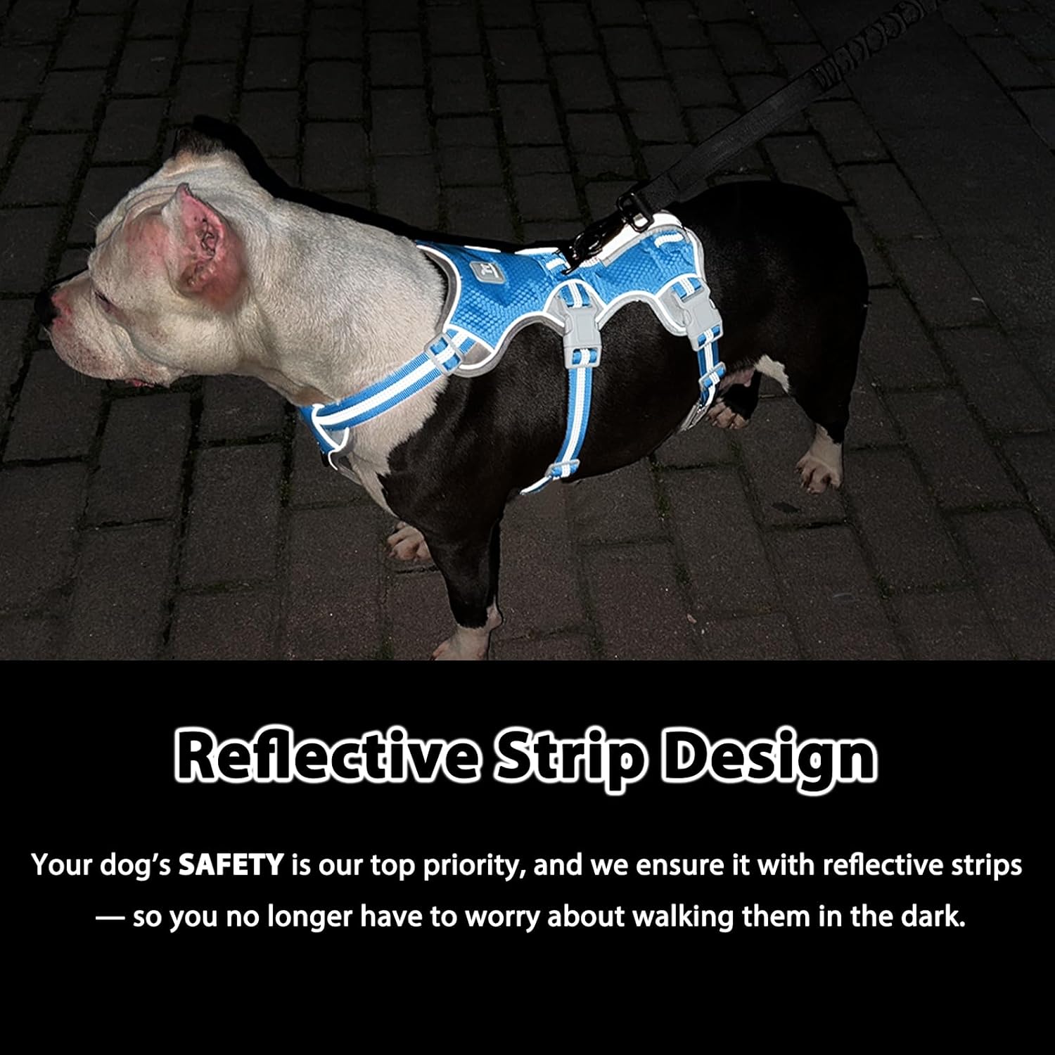 Huntboo Escape Proof Dog Harness, Escape Artist Harness, Reflective Harness with Padded Handle, Breathable, Durable, Adjustable Vest for Medium Dogs Walking, Training, and Running Gear (Blue, L)