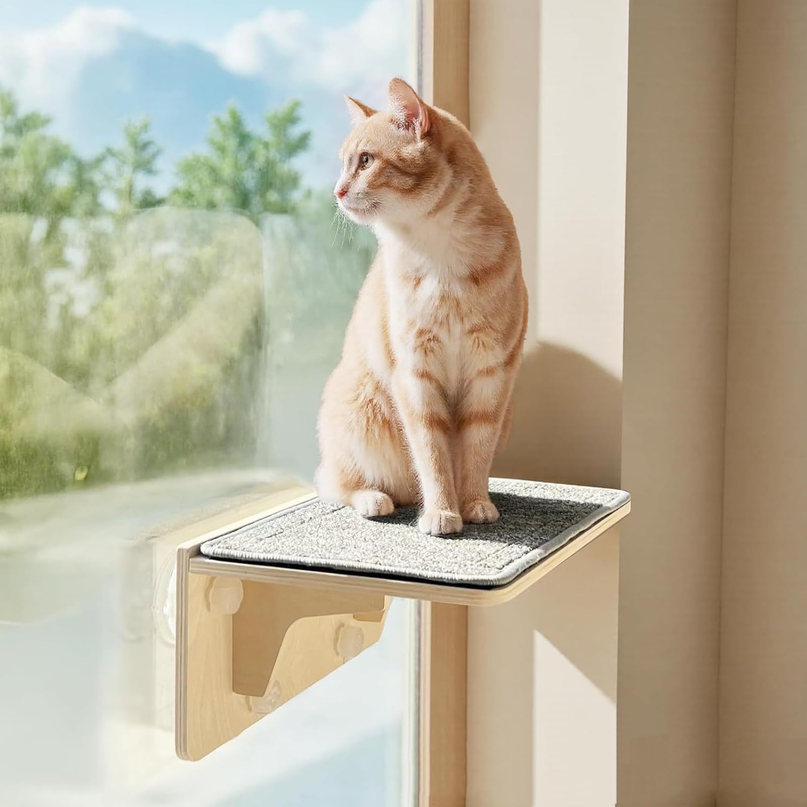 Fensterplatz Für Katzen Möbel Liegesitz mit Saugnapf
