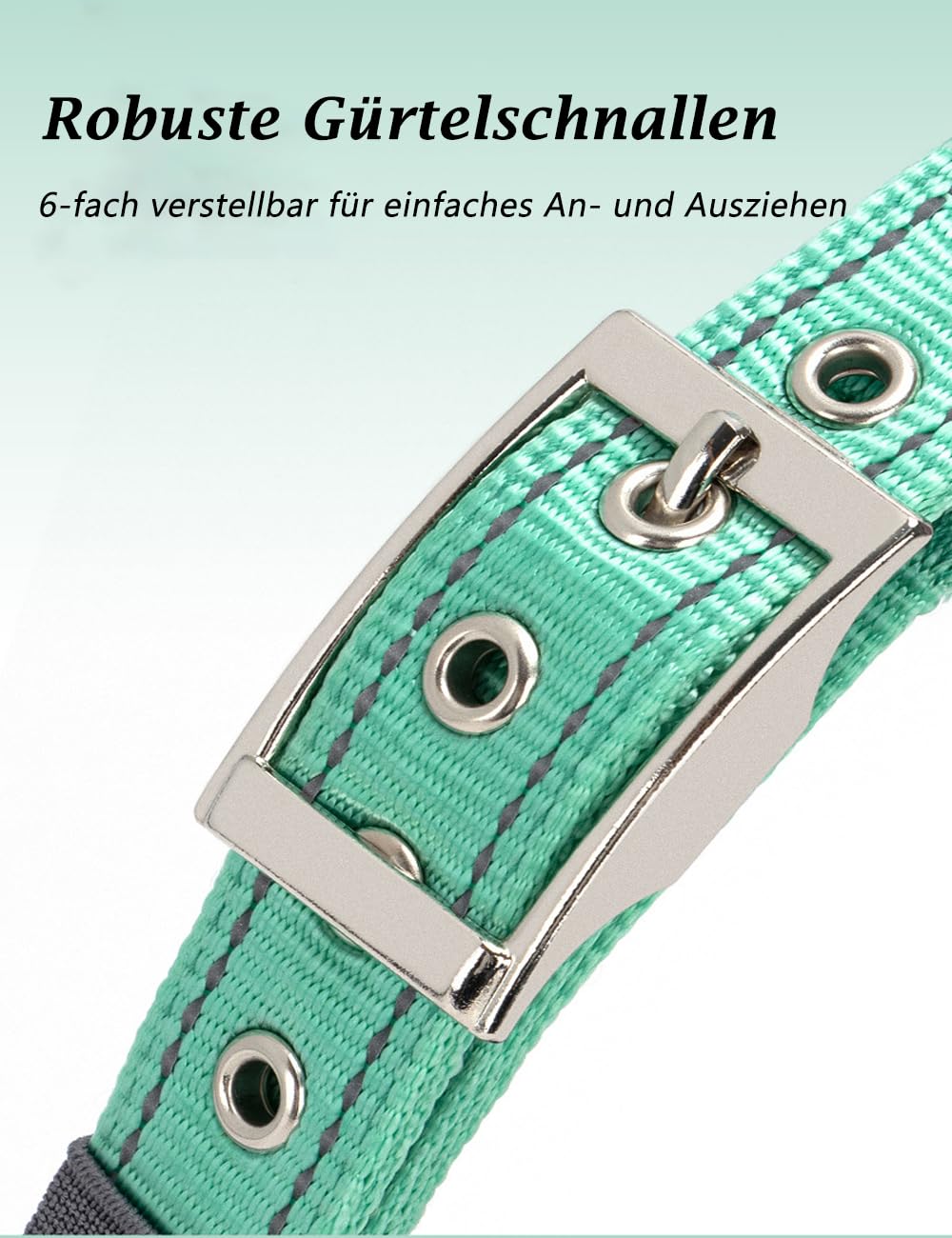 Personalisiertes Reflektierendes Hundehalsband – Individuell Graviert mit Name & Telefonnummer, Weiches Neoprenfutter, Verstellbar, Robust & Bequem, Sicherheits-Halsband für Hunde
