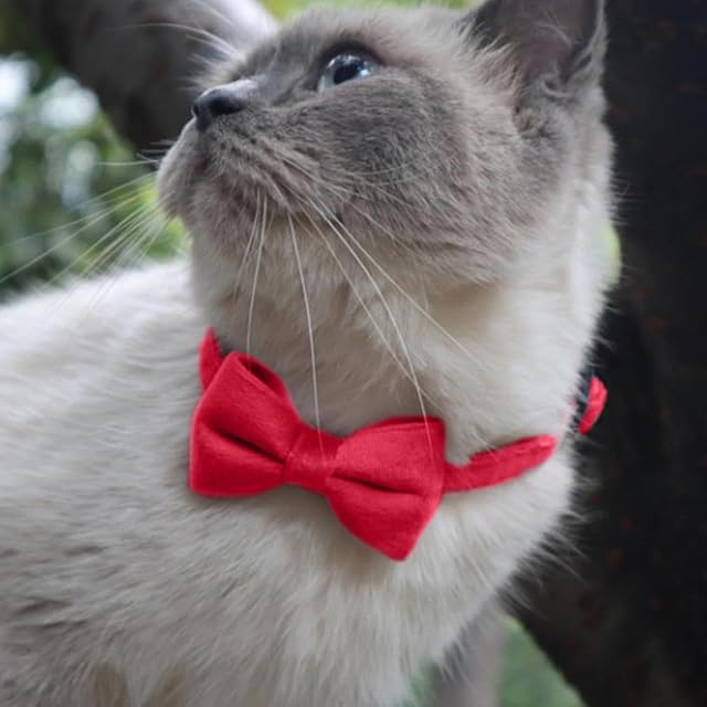 Foto 5 de 8 de Pajaritas para perros - Collar para mascotas no irritante para perros y gatos, gatos y perros, decoración…