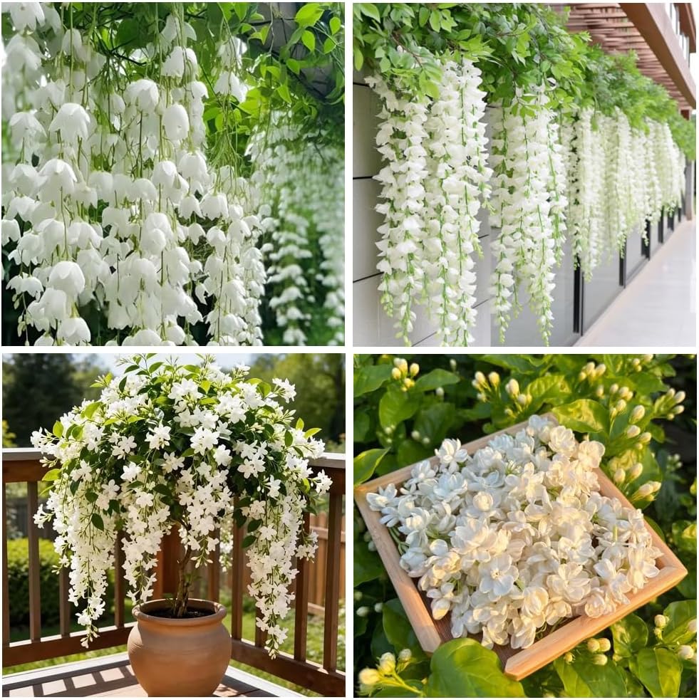 100+ Climbing Jasmine Flower Seeds for Planting-Non-GMO Jasmine Gardenia Plant Fragrant Flower Garden Home