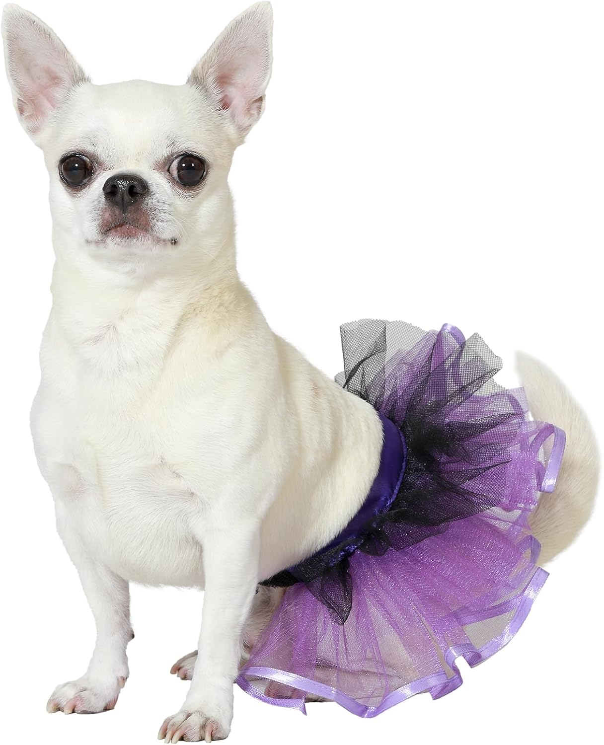 ATOSA Purple Tutu Pet Costume