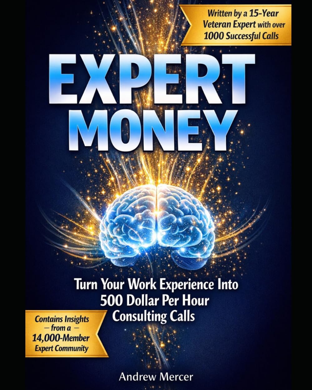 Expert Money: Turn Your Work Expertise into a $500/hr Consulting Business