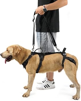 COODEO Mobility Dog Lift Harness, Support Sling & Walking Sling for Dogs, Pet Rear Leg Rehabilitation Support Vest, Dog Carrier for Senior Dogs with Joint Injuries, Arthritis, Up Stair Black, XL