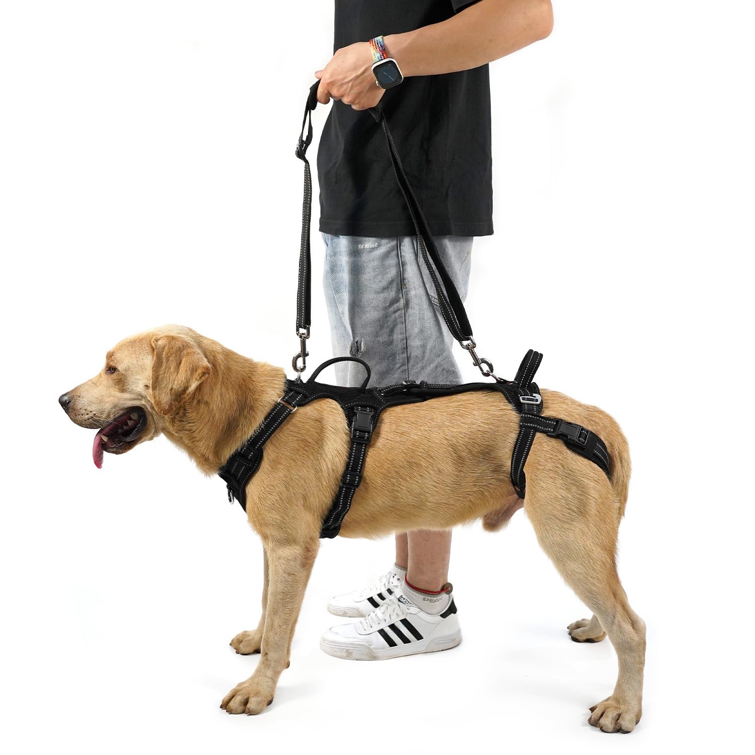 Mobility Dog Lift Harness, Support Sling & Walking Sling for Dogs, Pet Rear Leg Rehabilitation Support Vest, Dog Carrier for Senior Dogs with Joint Injuries, Arthritis, Up Stair (Black, XL)